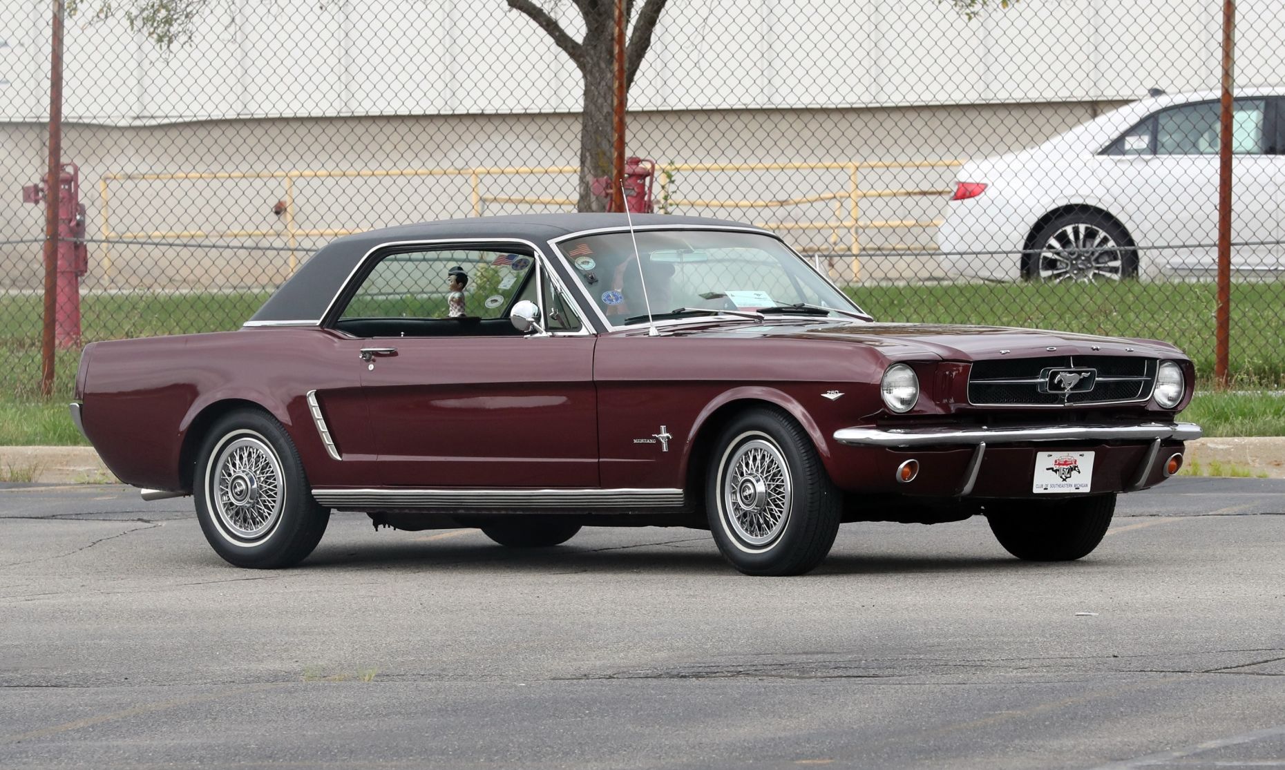Mustang: 1964
